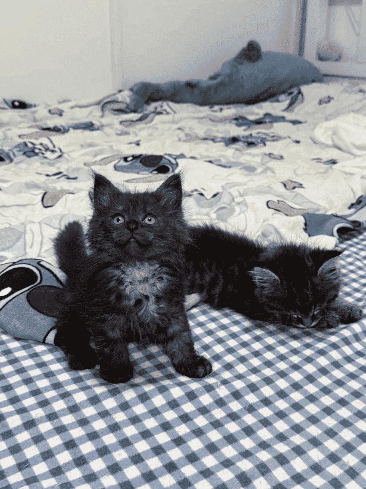 image-20251231192515150