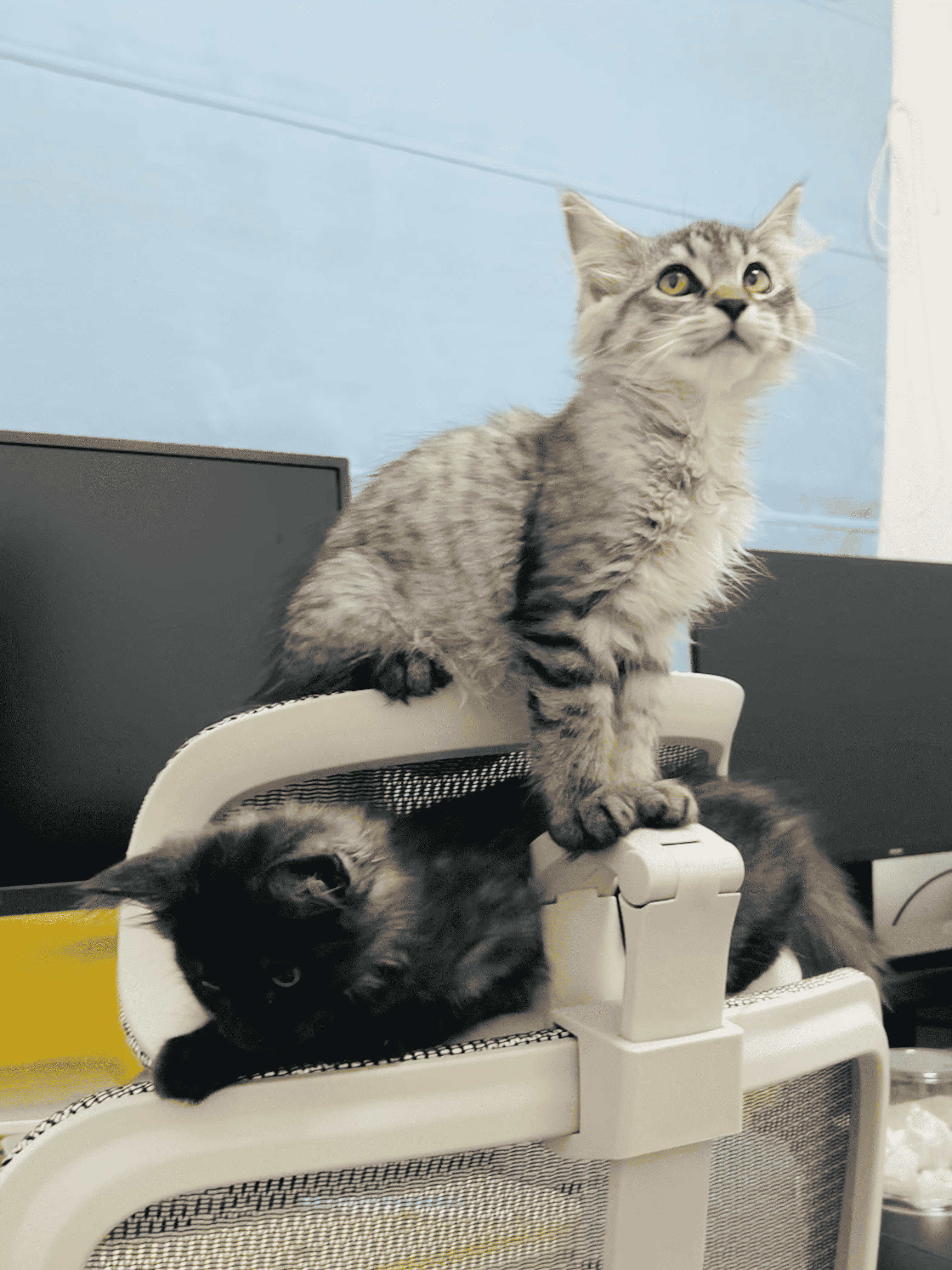 image-20251231192528301